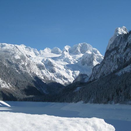 Appartement Alpenblick Gosau Dış mekan fotoğraf