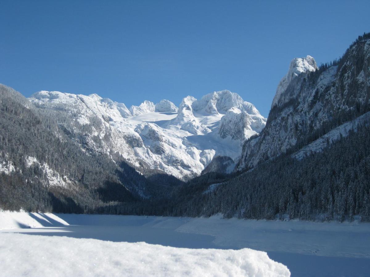 Appartement Alpenblick Gosau Dış mekan fotoğraf