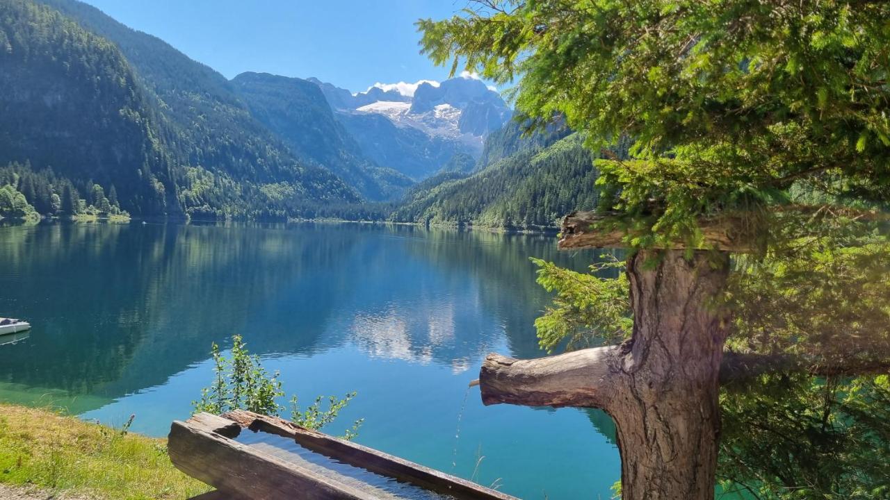 Appartement Alpenblick Gosau Dış mekan fotoğraf